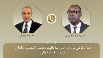 عاجل.. شركات مصرية مستعدة للمشاركة في مشروعات تنموية بمالي