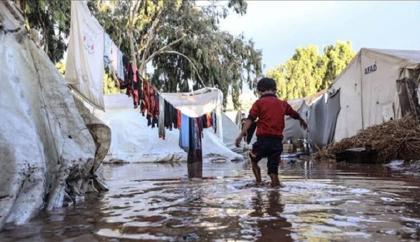 عاجل.. غزة: ارتفاع ضحايا المنخفض الجوي 