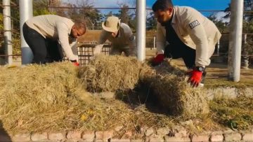 عاجل.. حدائق تكشف حقيقة صور الأفيال الجورجية وتشرح خطة التدريب والاستعدادات