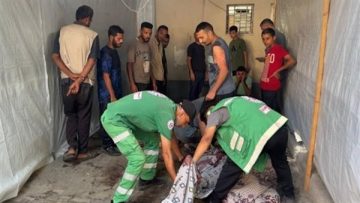 عاجل.. إصابة طفل برصاص الاحتلال خارج مناطق سيطرته بحي التفاح في مدينة غزة