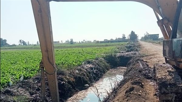 عاجل.. إزالة 80 حالة تعد على أراض زراعية وتطهير أكثر من 50 مسقى ومصرف خلال أسبوع