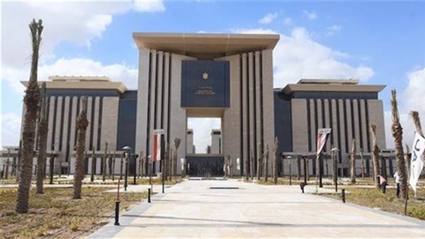 عاجل.. مصر تحيي اليوم العالمي للتضامن مع الشعب الفلسطيني