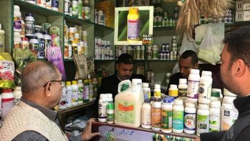 عاجل.. ضبط 360 عبوة مبيدات زراعية محظورة خلال حملات تفتيشية بمركز أبوتيج