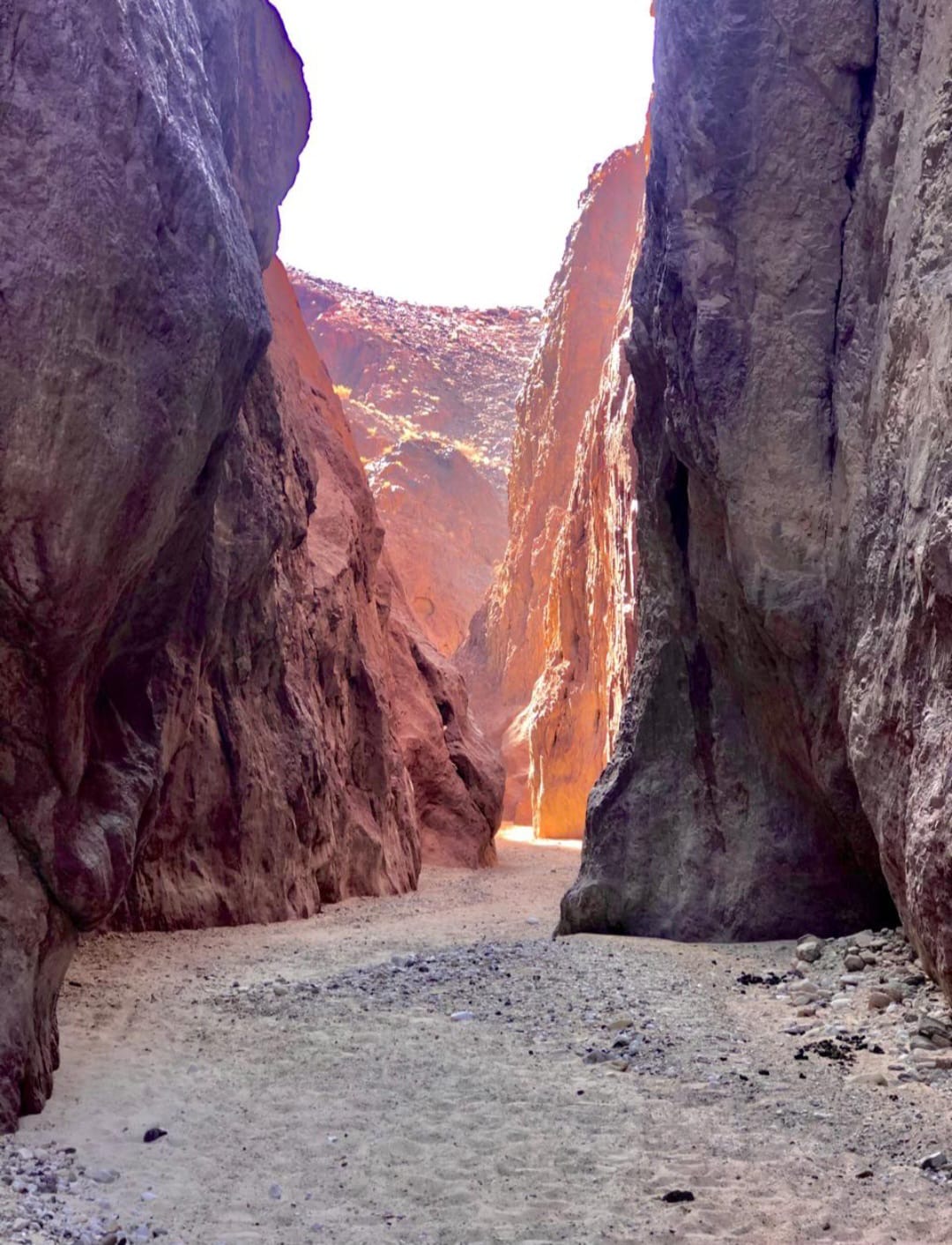 عاجل.. متقاعد بالبادية يضع منطقته على خارطة السياحة… ما التفاصيل؟