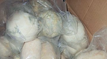 عاجل.. إغلاق مستودع جميد غير مرخص وضبط 25 طنًا فاسدًا في عمان.. صور