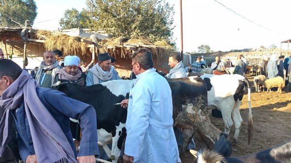 عاجل.. “الزراعة” تعلن تحصين الماشية بأكثر من 8.5 مليون جرعة للقاحي الحمى القلاعية والوادي المتصدع حتى الآن