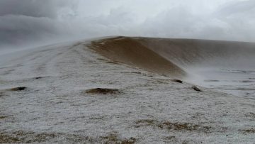 عاجل.. صقيع نادر يغطي صحراء الدوحة ويحوّل الرمال إلى منظر شتوي استثنائي