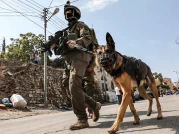 عاجل.. عشرات الجنود الإسرائيليين يتلقون علاجاً عاجلاً بعد إصابة كلاب بداء الكلب