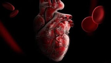 عاجل.. هل كشف علماء ستانفورد سبب التهاب القلب النادر ؟