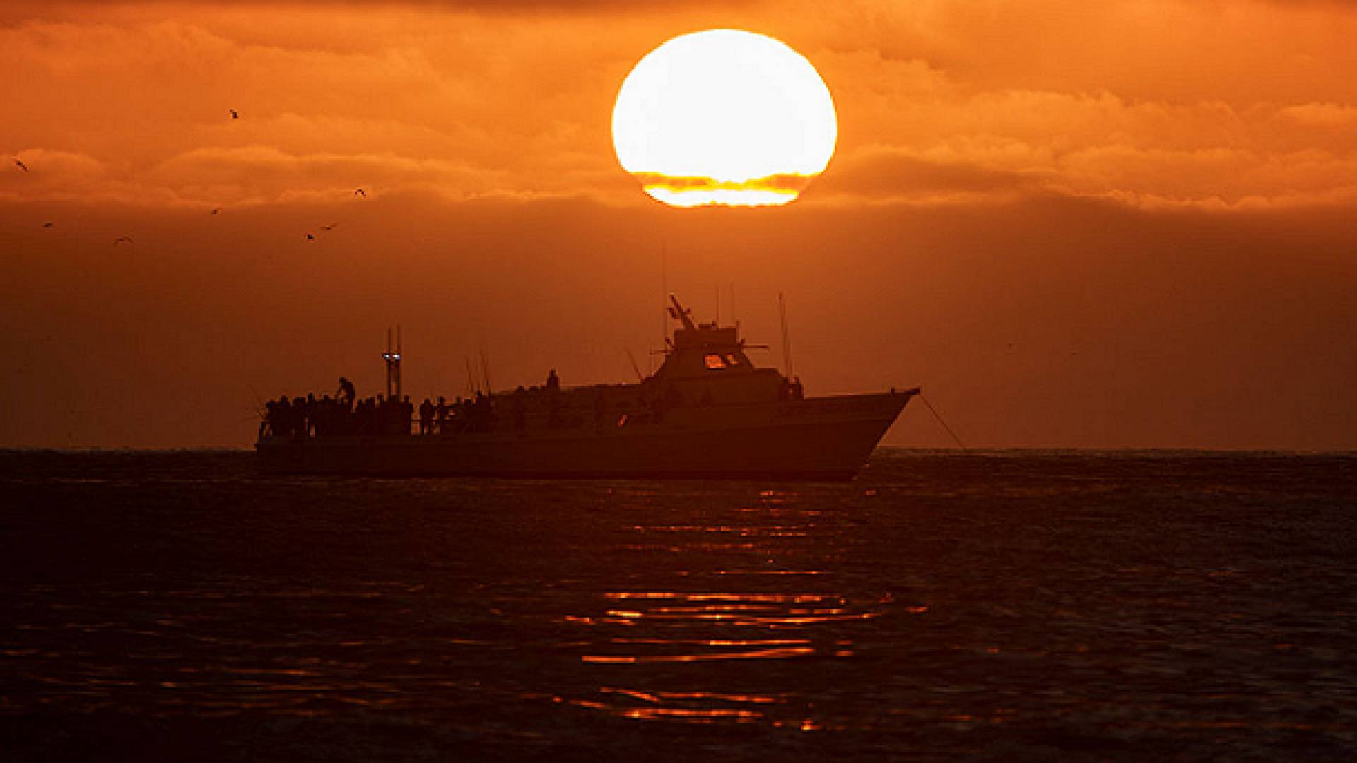 عاجل.. الجيش الأميركي يقتل 5 مشتبهين بتهريب المخدرات في المحيط الهادئ