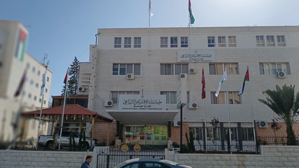 عاجل.. الإقراض الزراعي يعتمد موازنة 70 مليون دينار لعام 2026