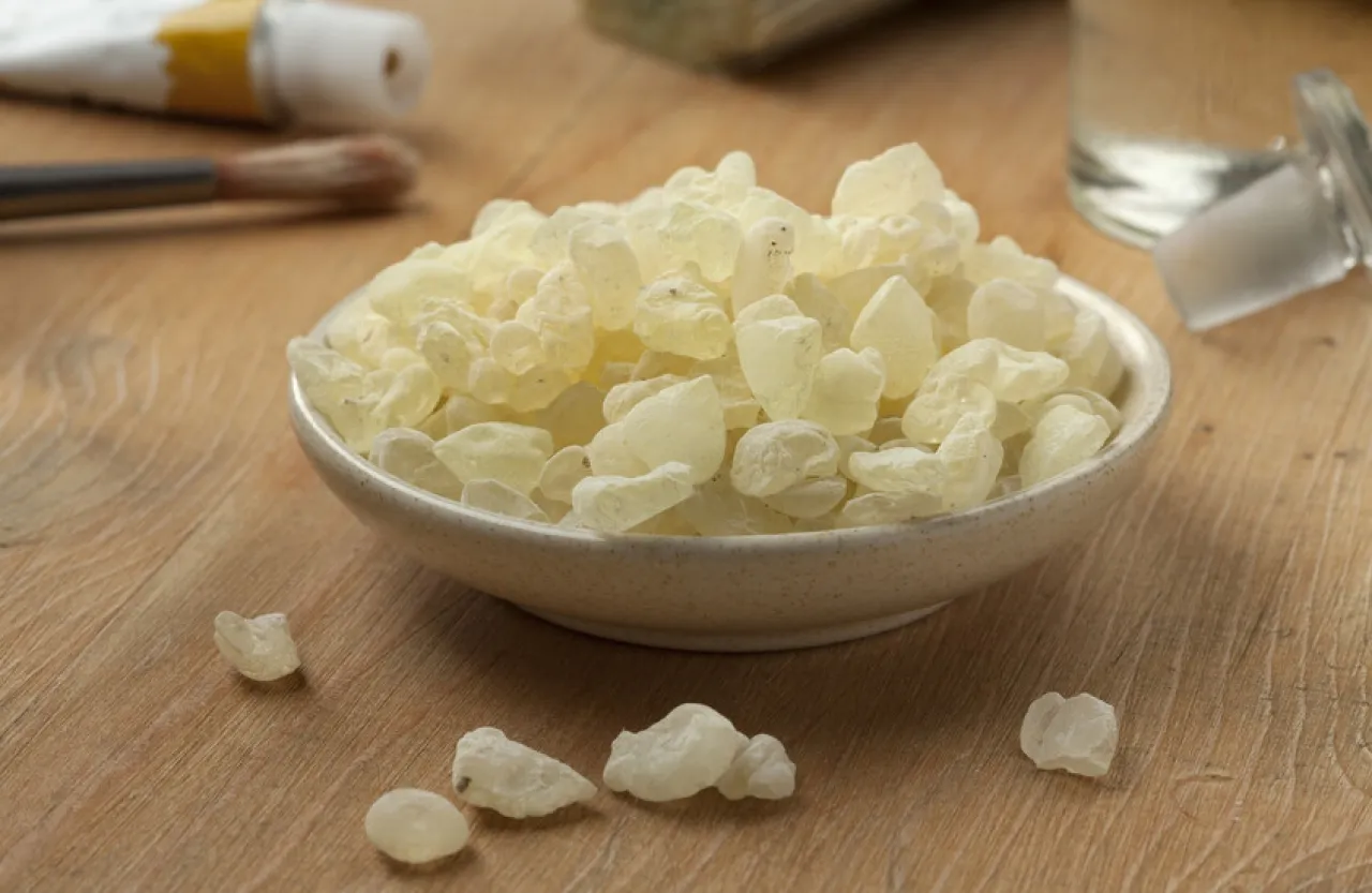 عاجل.. ماذا سيحدث لو ابتلعت علكة المستكة ؟