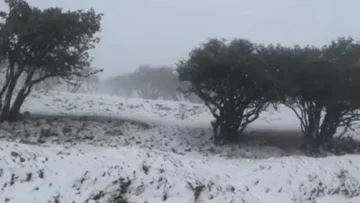 عاجل.. ثلوج وأمطار غزيرة في معان تُحدث اضطرابات مرورية