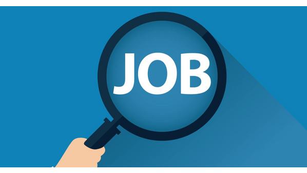 عاجل.. وظائف شاغرة في مؤسسات حكومية