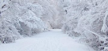 عاجل.. أمطار قادمة وثلوج غير متوقعة هذا الأسبوع