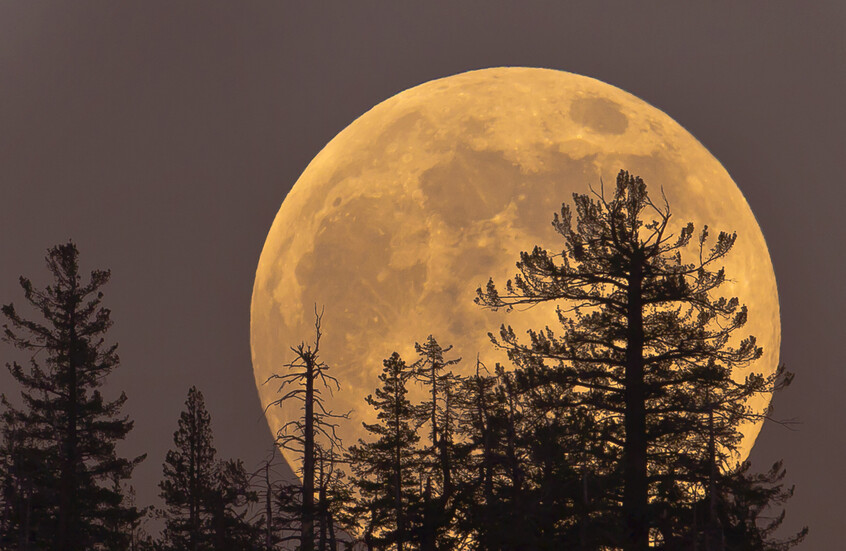 عاجل.. القمر العملاق يضيء سماء المملكة غدًا الجمعة