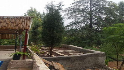 عاجل.. وزارة الزراعة تحول مشتل عين جِمَلا لإنتاج أشتال الزينة ضمن استراتيجية 2026