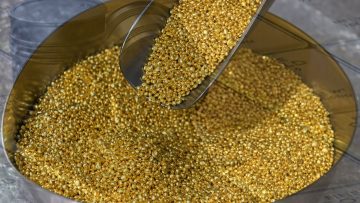 عاجل.. ارتفاع الذهب والبلاتين والبلاديوم مع تراجع أسعار النفط