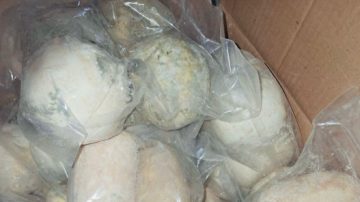 عاجل.. إغلاق مستودع جميد غير مرخص وضبط 25 طناً من المنتج الفاسد في عمان