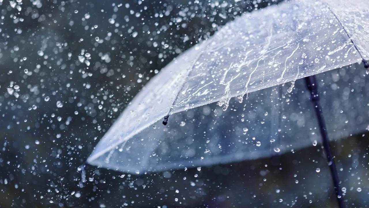 عاجل.. تأخير دوام مدارس لواء البترا الخميس بسبب الأحوال الجوية