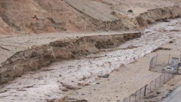 عاجل.. بلدية الكرك الكبرى تدعو المواطنين لعدم الخروج إلا للضرورة بسبب الأحوال الجوية