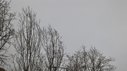 عاجل.. الأرصاد تحذر من استمرار الأمطار الغزيرة وانخفاض درجات الحرارة في مختلف مناطق المملكة