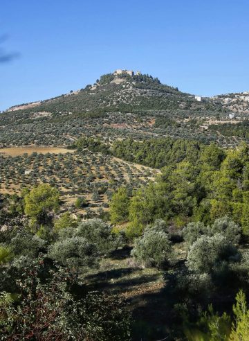 عاجل.. عجلون تحتفي بالموروث الثقافي والتراث الشعبي من خلال يوم تراثي شعبي