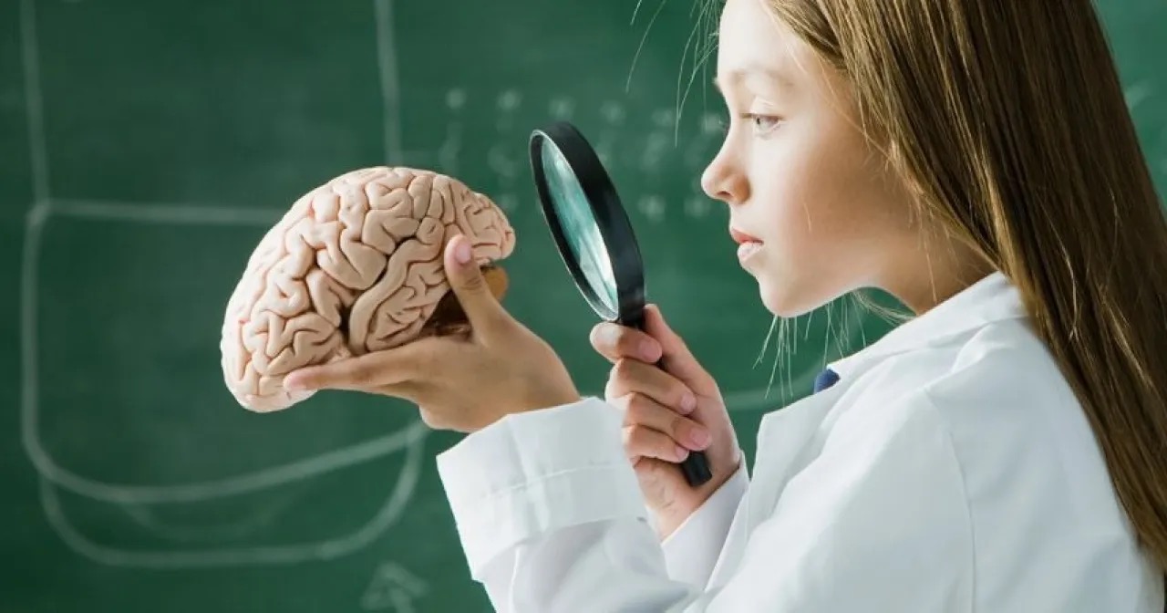 عاجل.. دماغ الإنسان يبقى “مراهقًا” حتى أوائل الثلاثينيات