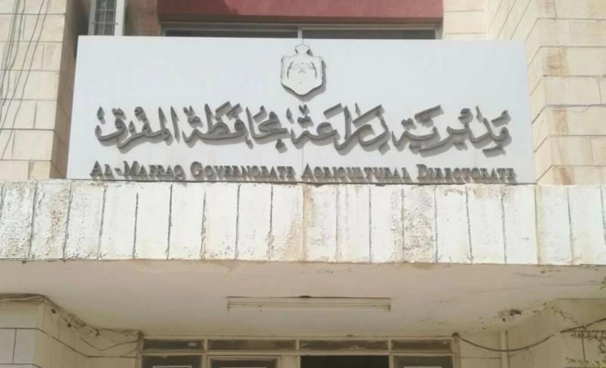 عاجل.. ارتفاع معدل الهطول المطري في المفرق يعزز موسم الزراعة والمواشي