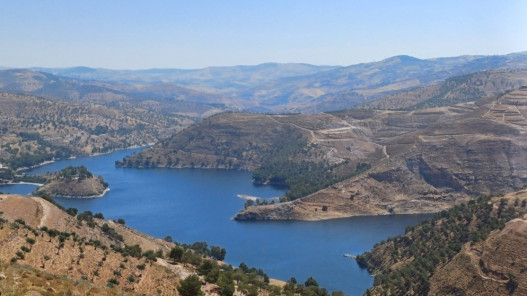 عاجل.. ارتفاع نسبة التخزين في سد الملك طلال إلى 52% منذ بداية الموسم المطري