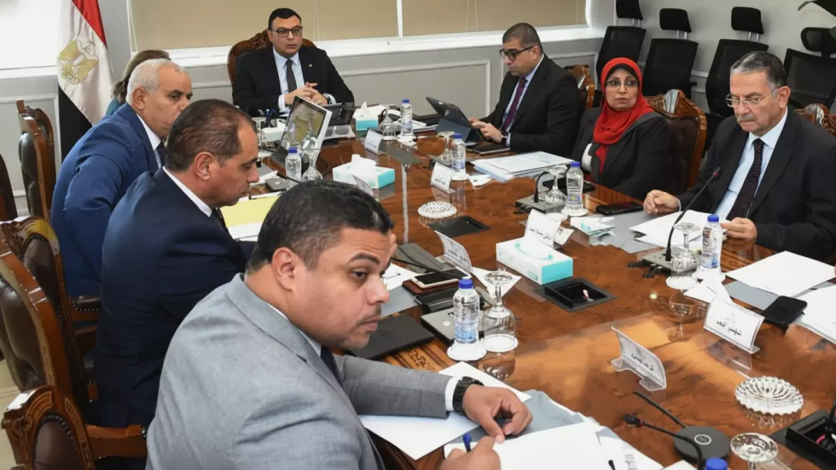 عاجل.. عاجل: مليون وحدة سكنية و90 مليار جنيه… الكشف عن الأرقام الصادمة لمبادرة “سكن لكل المصريين”!