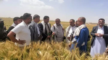 عاجل.. ثورة خضراء في ريمة: مزارعون يمنيون يحققون المعجزة… زراعة الزيتون بنجاح 100% والعالم يترقب!