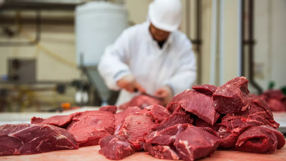 عاجل.. عاجل: أسعار اللحوم تصدم المصريين اليوم… الكيلو بـ 416 جنيه والضأن يحطم الأرقام!