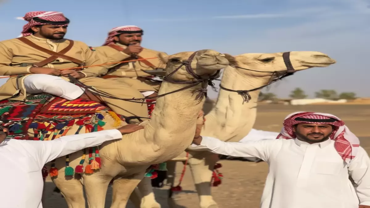 عاجل.. عاجل: شابان أردنيان يصدمان العالم برحلة 1200 كم على الإبل للحرمين – والاستقبال السعودي يفوق الخيال!
