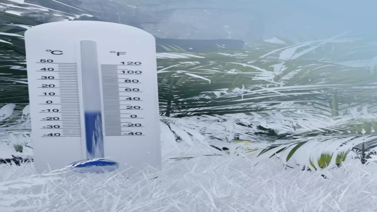 عاجل.. عاجل: القريات تسجل رقماً قياسياً مرعباً… 5 درجات تحت الصفر تجمد المملكة!
