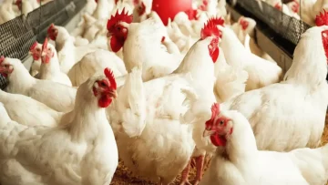 عاجل.. عاجل: مواعيد الأيام البيض في رجب 2026 تُحدد رسمياً – اكتشف الأيام الثلاثة الذهبية للأجر المضاعف!