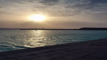 عاجل.. عاجل: انفجار استثماري بـ 139 مليون دولار يحوّل ميناء المخا لعملاق يستوعب 50 ألف طن!