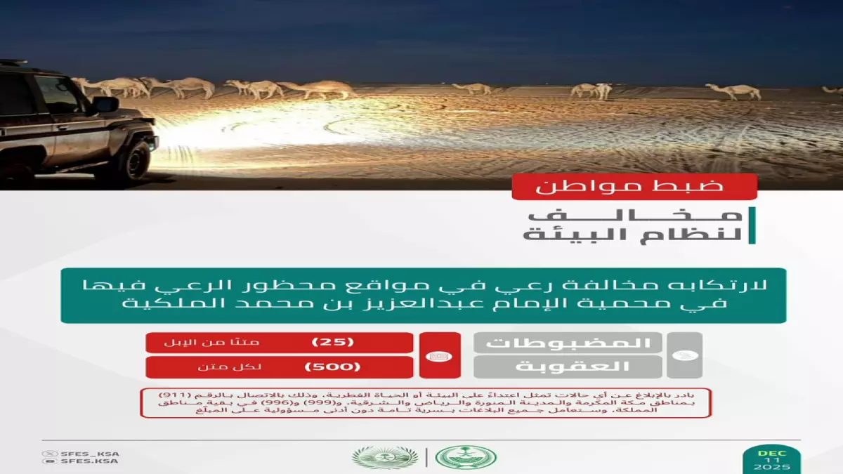 عاجل.. صادم: ضبط مواطن يرعى 25 جملاً في محمية ملكية… والغرامة تصل لـ12,500 ريال!