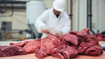 عاجل.. صادم: فروق 150 جنيه بين اللحوم البلدي والمستوردة – الكندوز يصل 470 والبرازيلي بـ210 فقط!