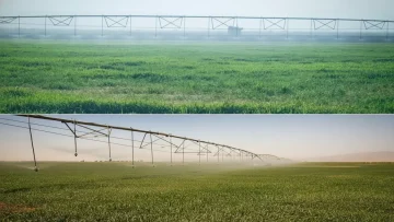 عاجل.. عاجل: اليمن يكسر احتكار القمح المستورد… كيس بـ10 آلاف ريال يوفر مليار دولار سنوياً!