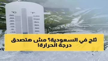 عاجل.. عاجل: السعودية تدخل عصر جليدي مصغر – صفر مئوي ومدن تختفي تحت الضباب!