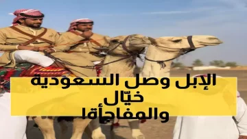 عاجل.. عاجل: شابان أردنيان يصلان مكة على الإبل بعد 1200 كم… والاستقبال السعودي يُبكي الملايين!