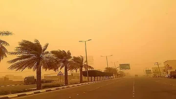 عاجل.. عاجل: الأرصاد تحذر من انعدام الرؤية في الجموم… والسائقون في خطر حتى 4 مساءً!