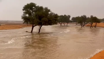 عاجل.. سحر خفي: مياه الأمطار تحول وادي الخويش لجنة طبيعية… والمصورون في سباق مع الوقت!
