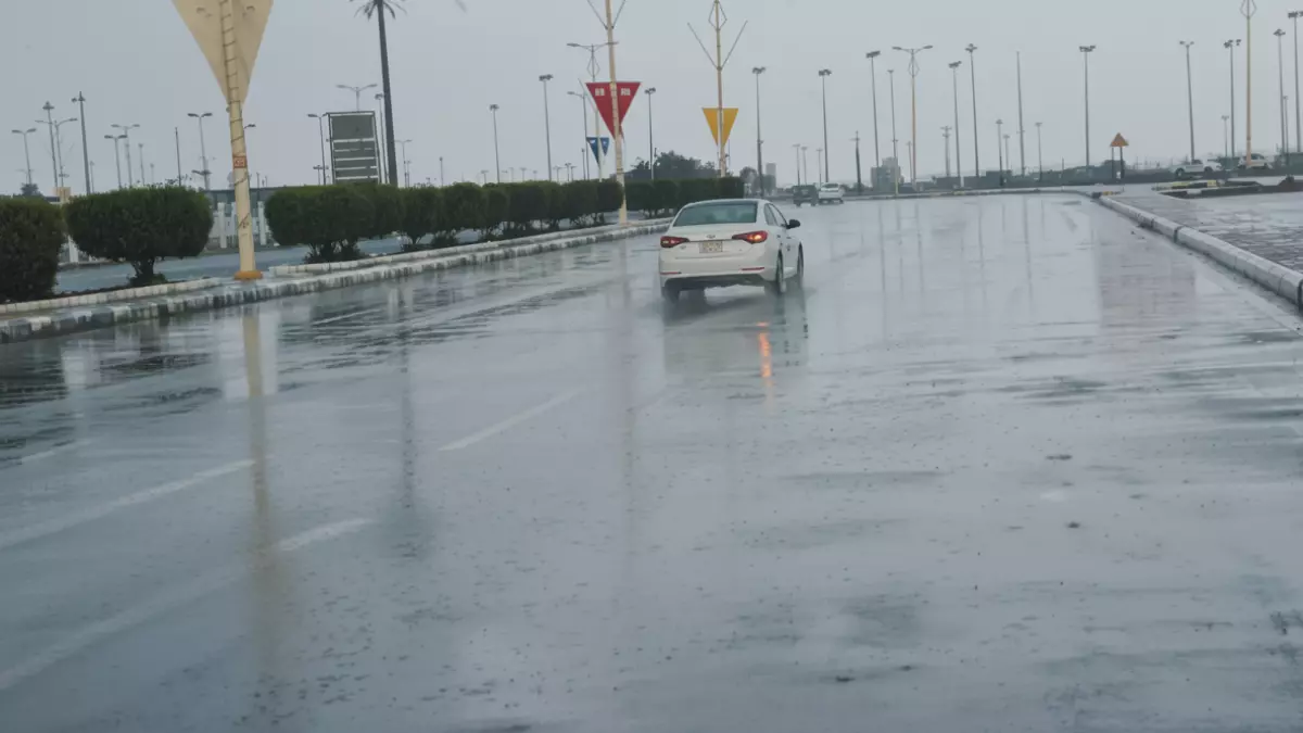 عاجل.. عاجل: الحصيني يحذر من موجة البرد القطبية الرابعة… 7 مناطق تغرق بالأمطار ودرجات تحت الصفر خلال 72 ساعة!