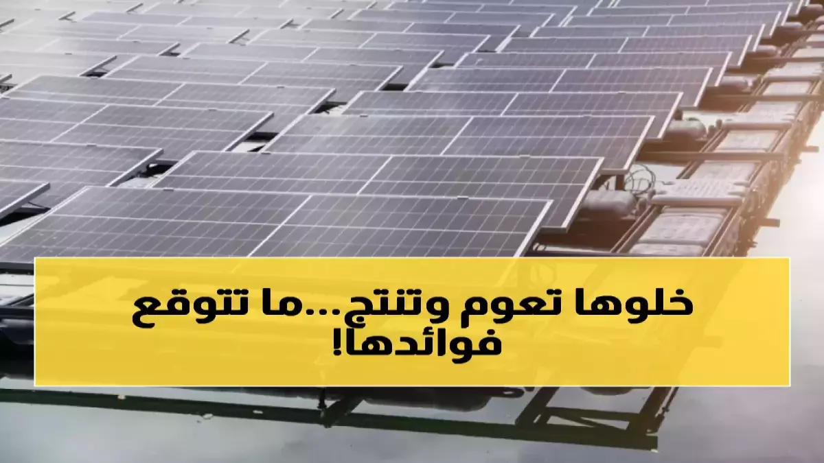 عاجل.. عاجل: السعودية تفجر مفاجأة تقنية تحل أزمتين معاً… أول محطة طاقة شمسية عائمة تنقذ المياه والكهرباء!