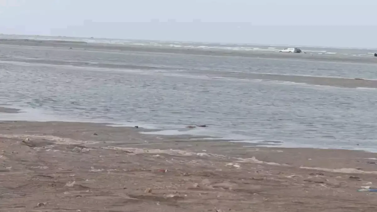 عاجل.. عاجل: رياح مدمرة 26 عقدة تشل حركة السفن في باب المندب وخليج عدن – الأرصاد تحذر!