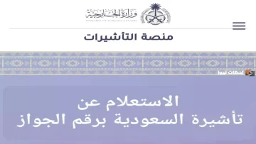 عاجل.. حصري: تعرف على تأشيرة السعودية برقم الجواز فقط خلال دقائق – طريقة مجانية 100%!