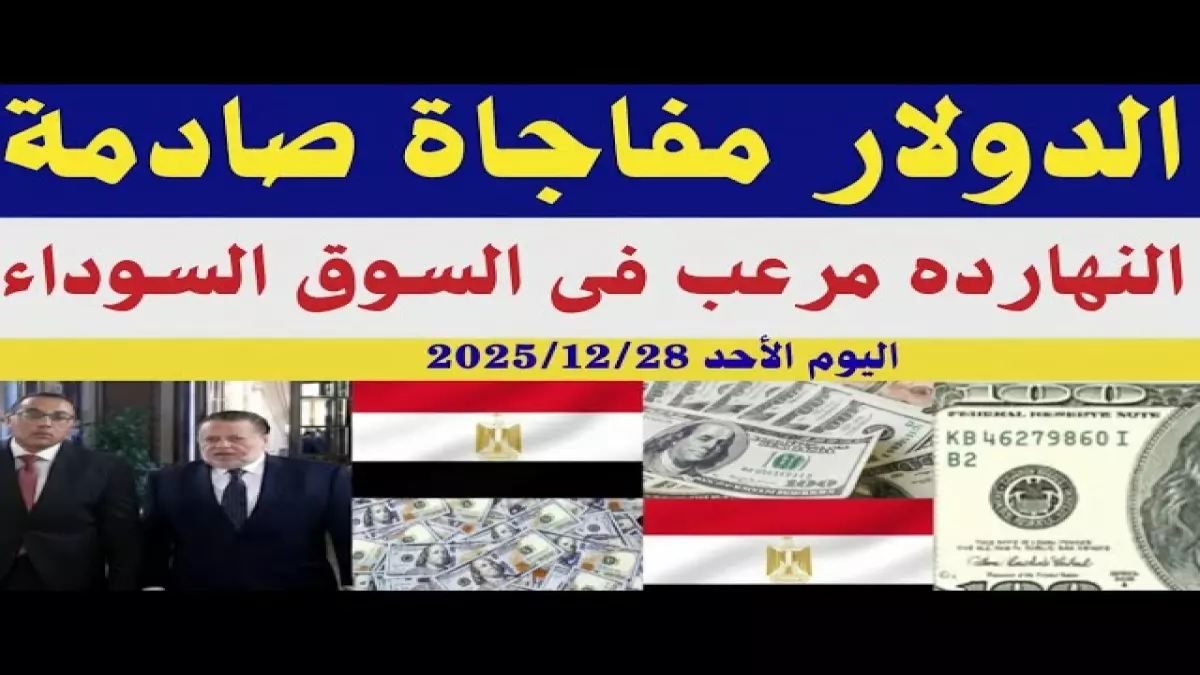 عاجل.. عاجل: أقل سعر للدولار يصل 47.45 جنيه – بنك واحد يفاجئ المصريين بالسعر الأرخص!