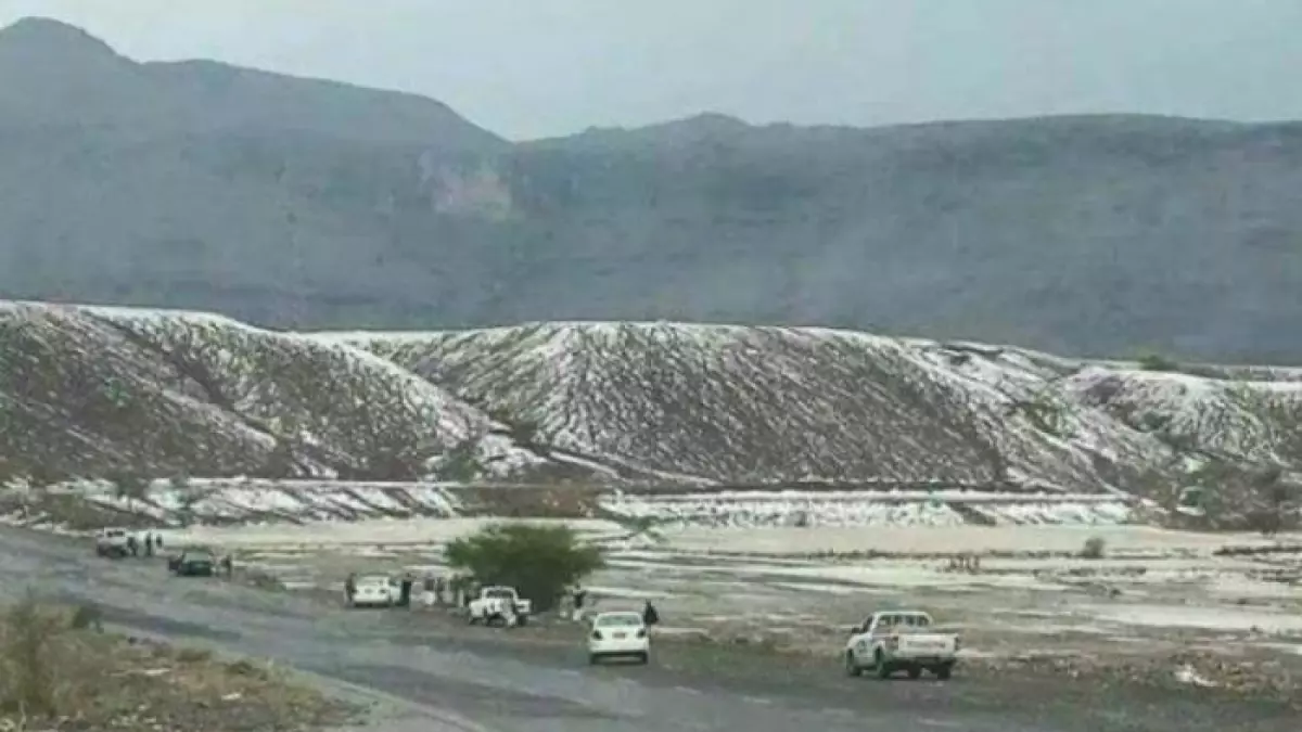 عاجل.. عاجل: اليمن تدخل رسمياً “أربعينية الشتاء”… 40 يوماً من البرد القارس والعواصف تبدأ الآن!